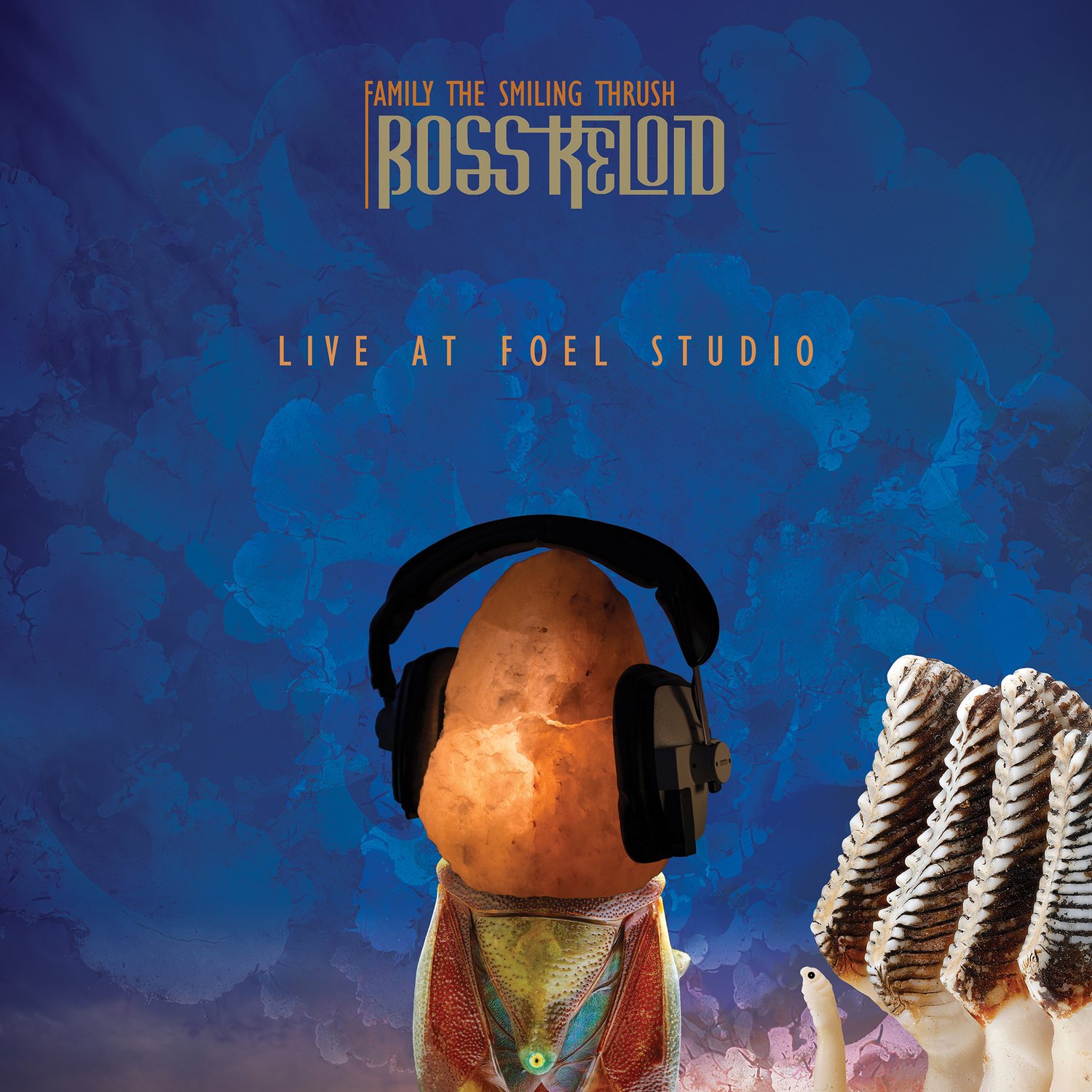 Image of Boss Keloid - Family The Smiling Thrush LIVE At Foel Studio Deluxe Vinyl + DVD Editions