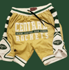 MIAMI CENTRAL (ALTERNATIVE CREAM SHORTS)