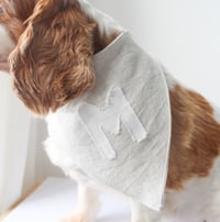 Image 2 of Pet Bandana