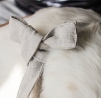 Image 3 of Pet Bandana