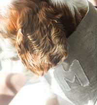 Image 4 of Pet Bandana