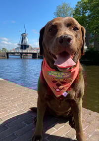 Image 3 of Sun’s Out Tongues Out