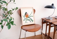 Image 2 of Fine art print | Honeyeater on banksia