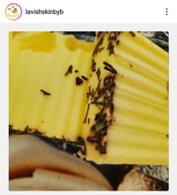 Pineappple Sage Yoni Bar