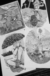 "Mushroom Pack" 5x7" Prints (Includes 4 Prints)