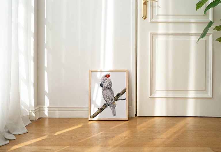 Fine art print | Cockatoo Image 2