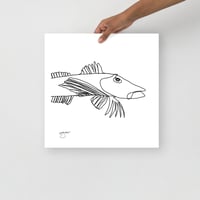 Image 2 of Poster Sea Robin