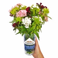 Image 1 of Your own Bottle Vase