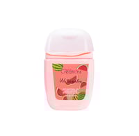 Image 1 of Anti-Bacterial Sanitizer