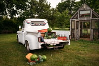 Image 1 of Americana Truck Minis 