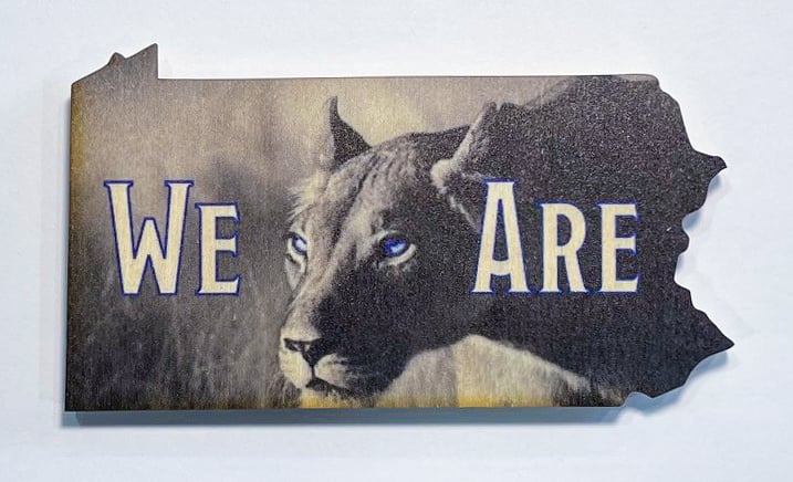 Image of We Are Lion Magnet