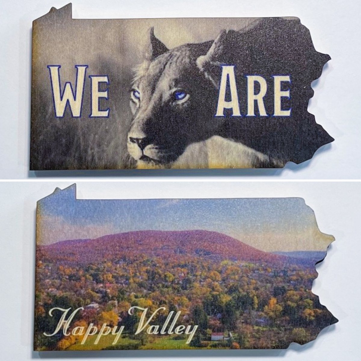 Image of We Are and Happy Valley Wooden Magnets 