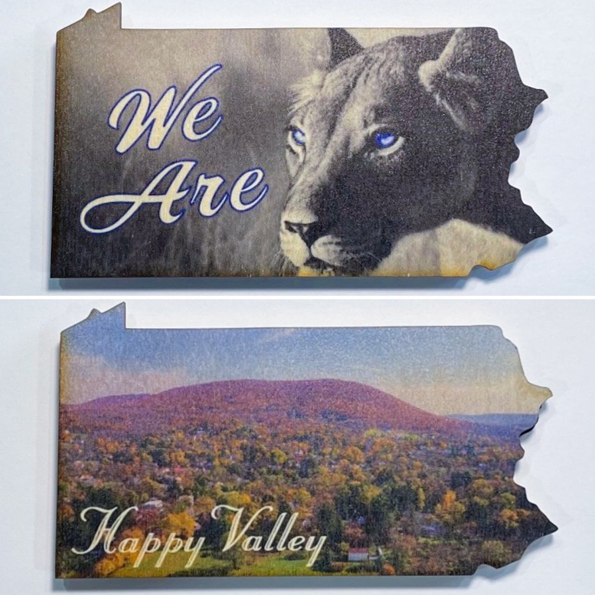 Image of We Are Cursive Lion and Happy Valley Magnets 