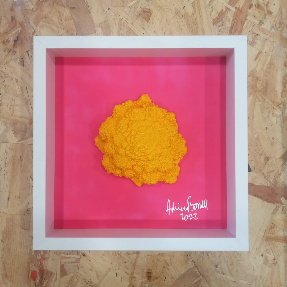 Image of JOY XI
