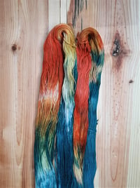 Image 2 of Rainbow Room yarn