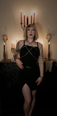 Image 4 of Hellbent Morgen Chain Harness