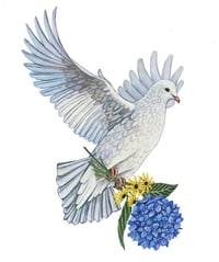 Image 1 of Fine art print | Peace dove