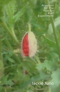 Image 1 of Priestess of the Powder Puff Experiment by Jackie Juno