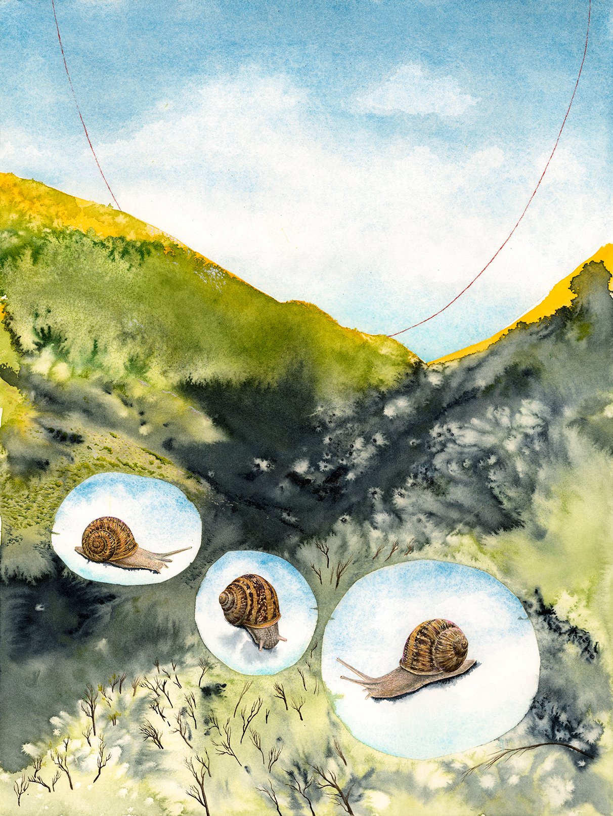 "Snails at the Entrance" giclee print