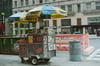 vendor