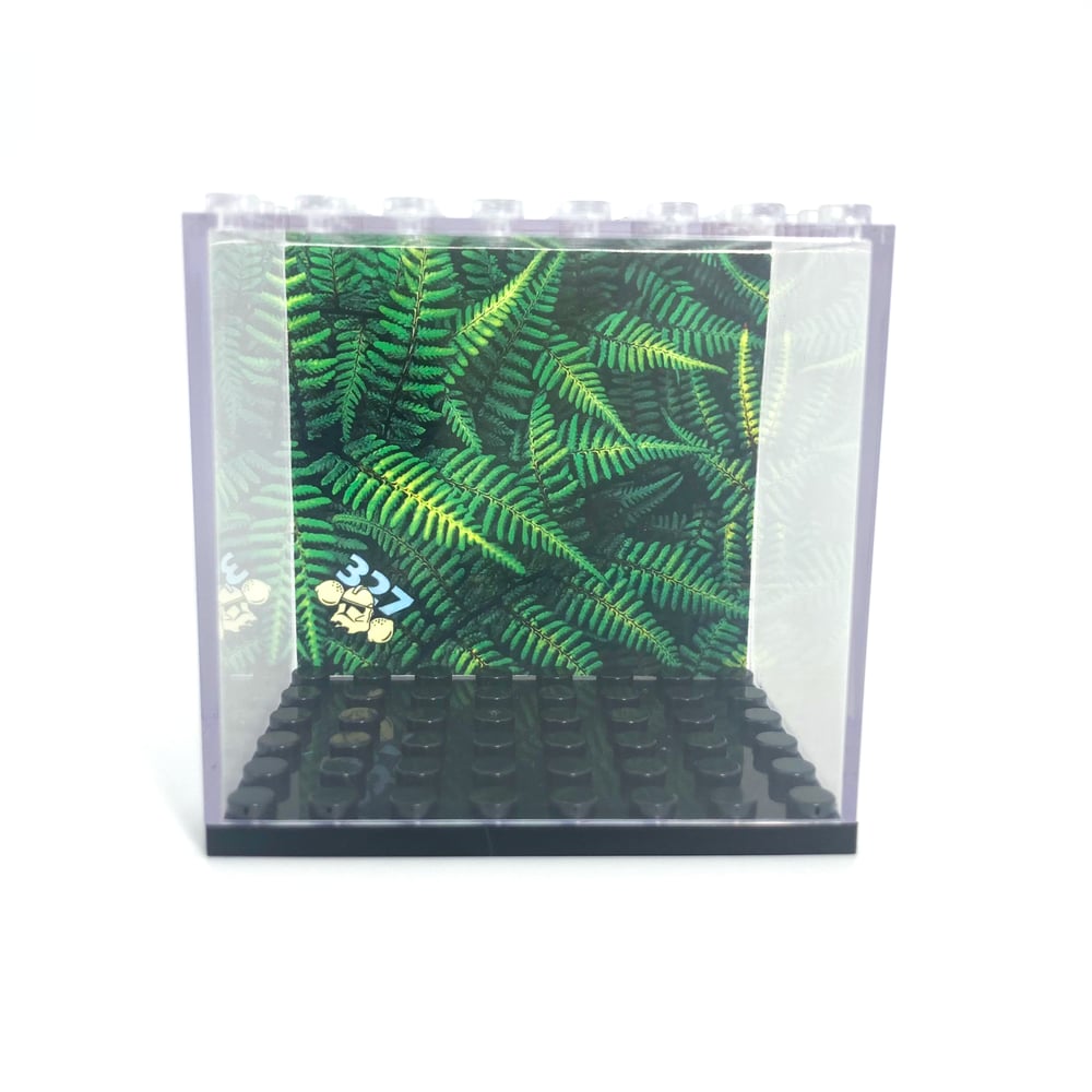 Image of Case - Forest Fern
