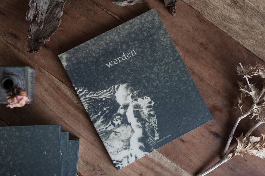 Image of photobook 'werden'