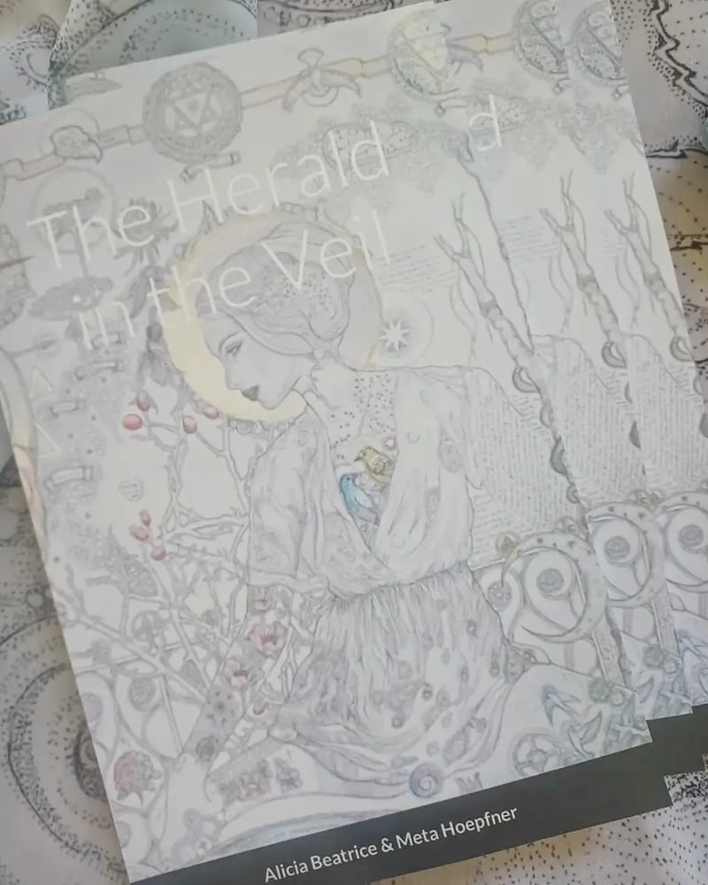 Image of The Herald in the Veil (poetry/art book)