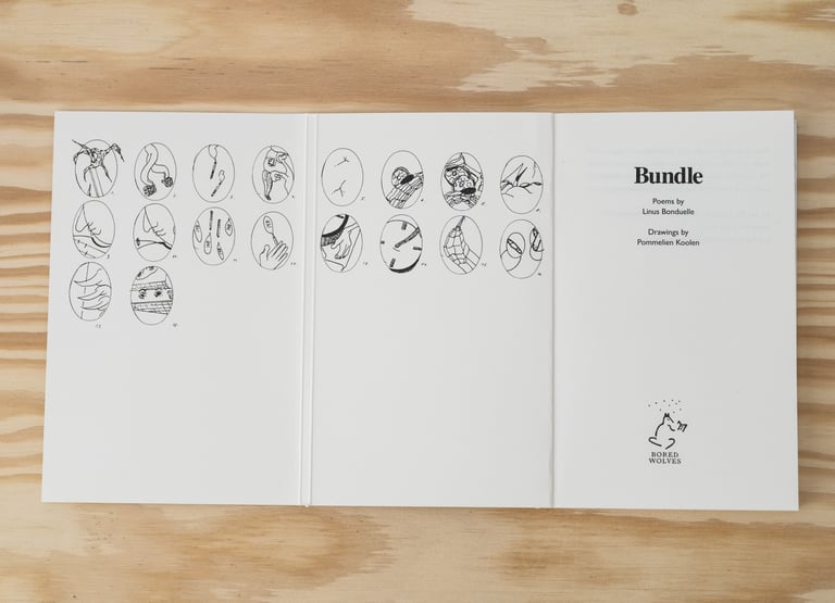 Bundle by Linus Bonduelle & Pommelien Koolen Image 3