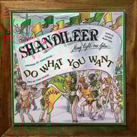 Shandileer - Do What You Want