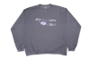 "Perceptual Obfuscation" Crewneck