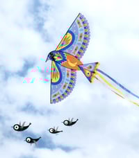 Image 4 of Djeco Giant Kite