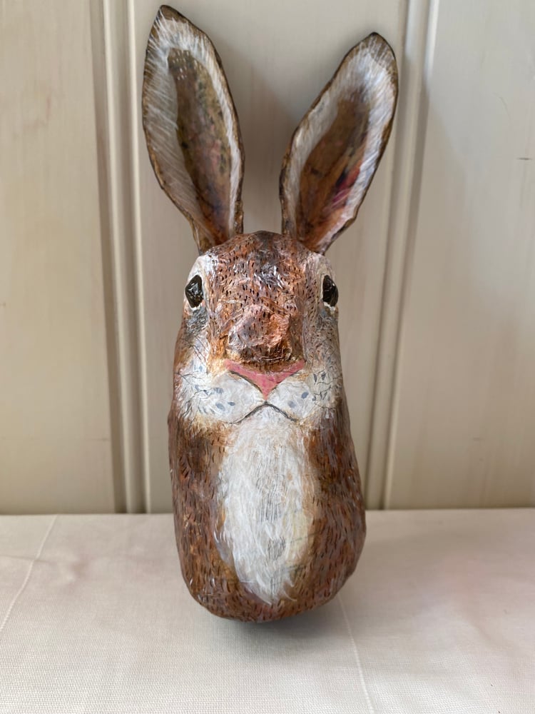 Image of Rabbit