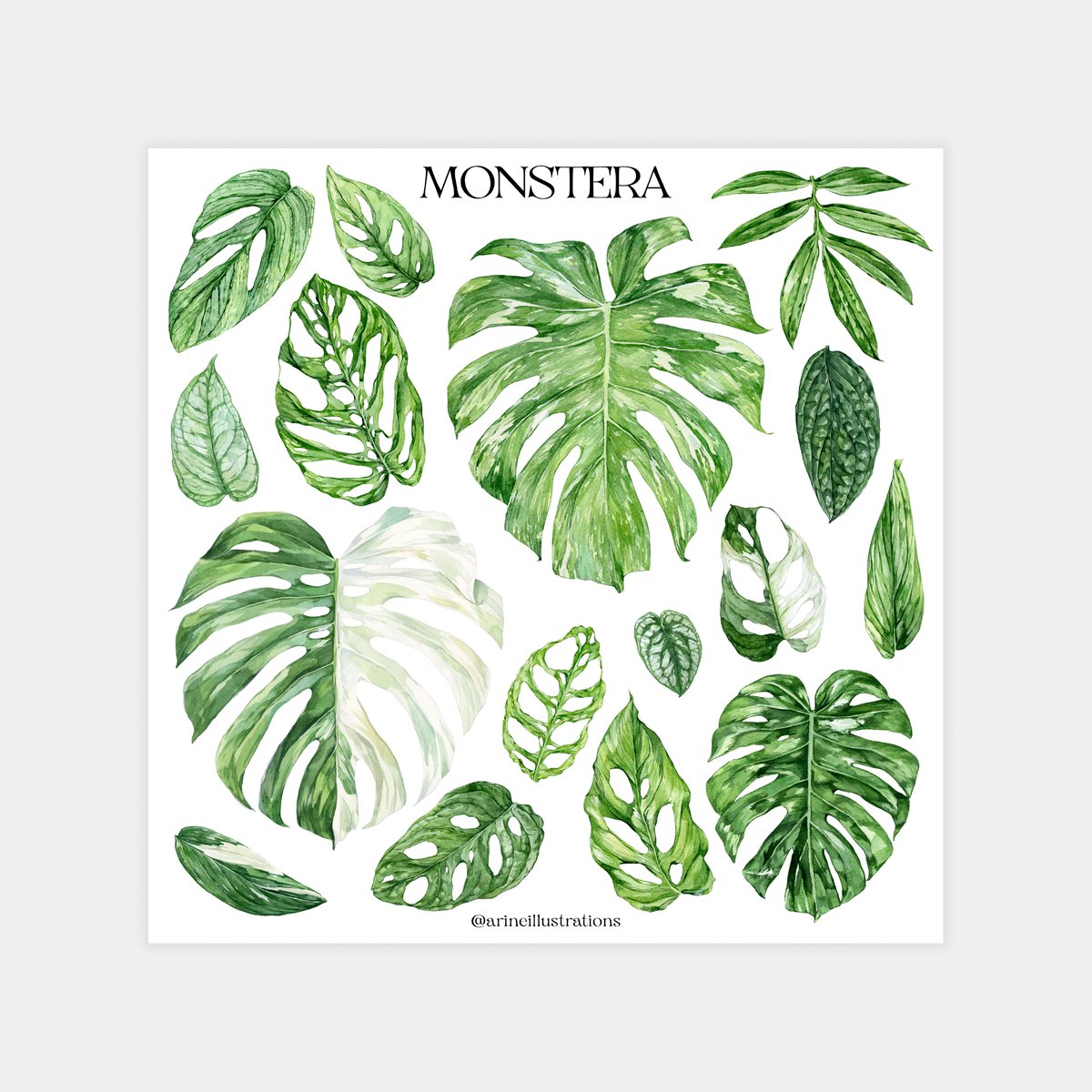 Monstera Sticker Sheet | arineillustrations