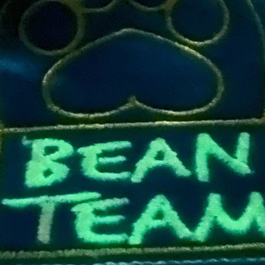 Image of Embroidered Patch: Bean Team 