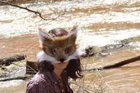 Image 3 of Wild Coyote Faux Fur Mask