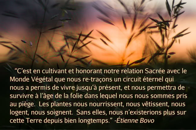 Ex-Folie Exfoliant Visage