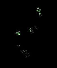 Image 3 of ‘Moth Dust’ - glow-in-the-dark print 