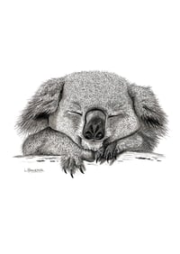 Image 1 of 'Baz' the Koala Fine Art Print