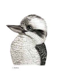 Image 1 of 'Keith' the Kookaburra Fine Art Print