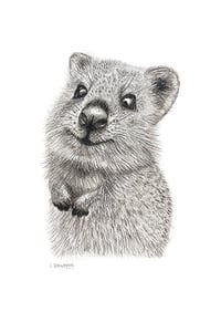 Image 1 of 'Ralph' the Quokka Fine Art Print