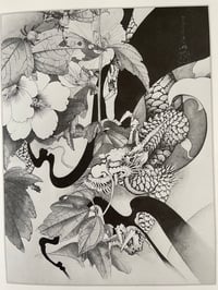 Image 4 of 100 dragons of Tansai
