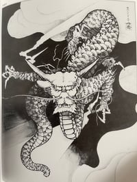 Image 5 of 100 dragons of Tansai