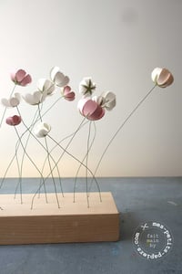 Image 4 of Jardin flottant 