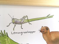 Image 3 of Vegetable and Fruit Animals | Mini-Poster | DIN A3 mit Posterleisten