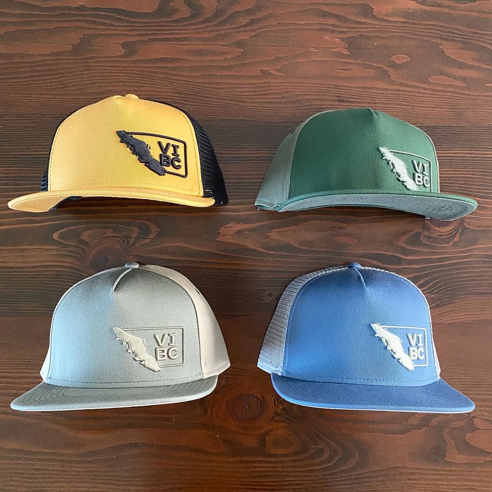 Image of Retro VI Hat