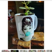 Image 2 of Audrey & Marilyn mug succulents