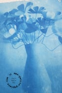 Mon bouquet - impression cyanotype (ref07)