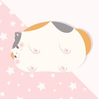 Image 3 of PRE-ORDER Fat Cat Acrylic Bookmark 