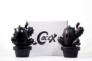 Image of Project CactX
