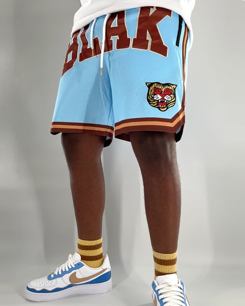 Image of The BLAK Basketball Shorts in Sky Blue